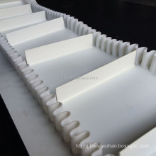 SIDEWALL PVC CONVEYOR BELT FOR FRUIT